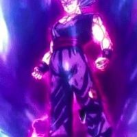 sKrT_BeastGohan